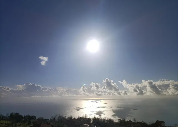 农家乐 Nel Blu Dipinto Di Blu *